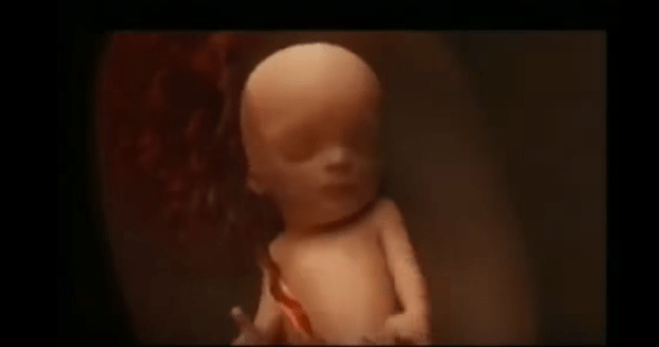 El milagro de la vida